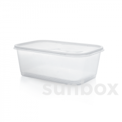 1L Rectangular box with lid